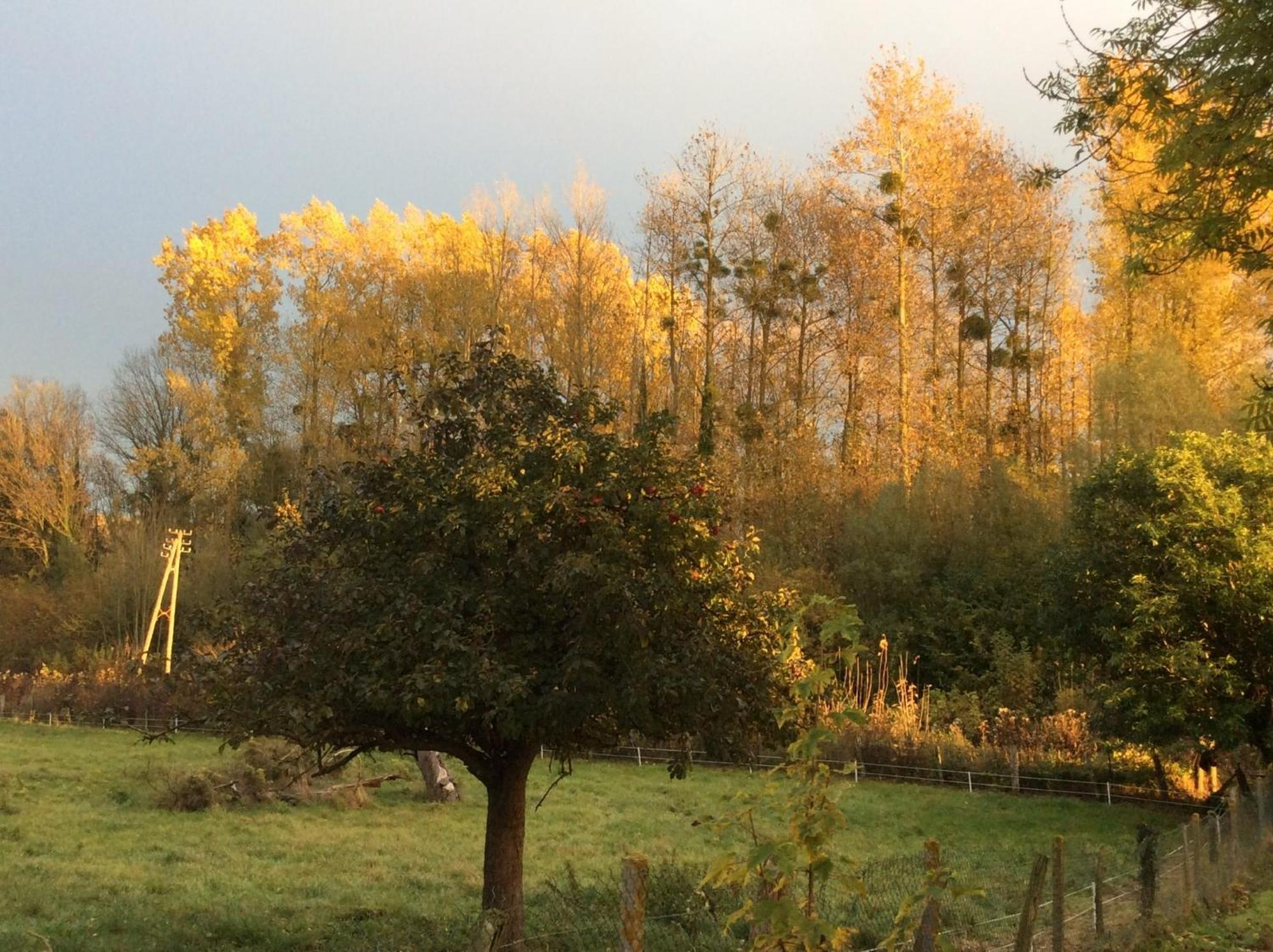 Le Petit Jardin, En Baie De Somme